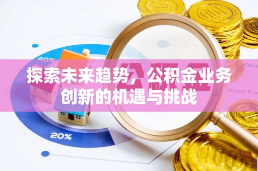虎尾探索未来趋势，公积金业务创新的机遇与挑战