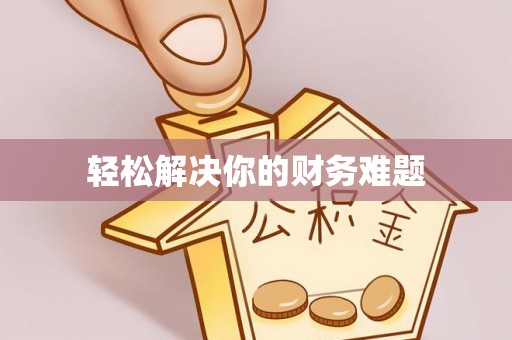 虎尾轻松解决你的财务难题