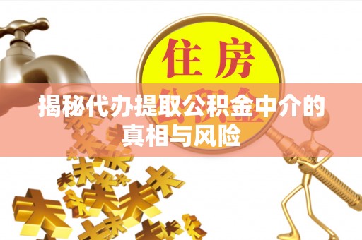 虎尾揭秘代办提取公积金中介的真相与风险
