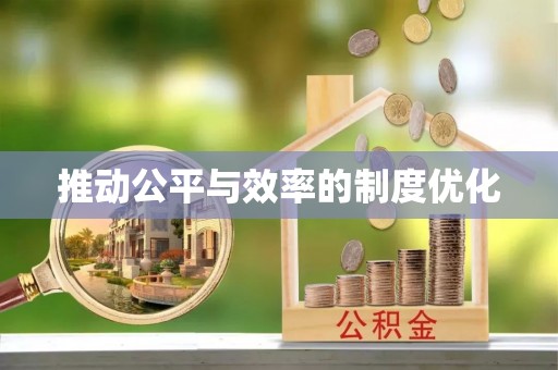 虎尾推动公平与效率的制度优化
