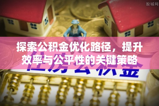 虎尾探索公积金优化路径，提升效率与公平性的关键策略