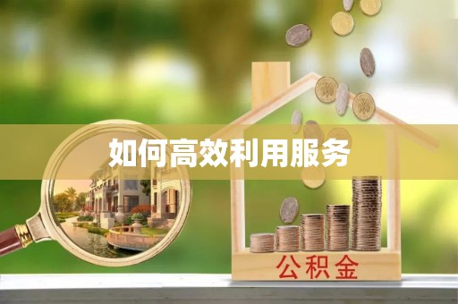 虎尾如何高效利用服务