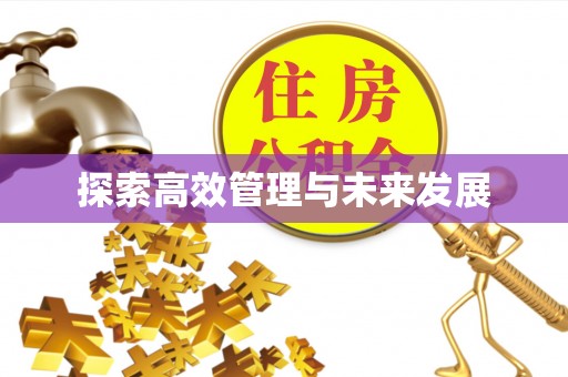 虎尾探索高效管理与未来发展
