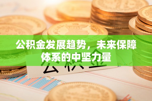虎尾公积金发展趋势，未来保障体系的中坚力量