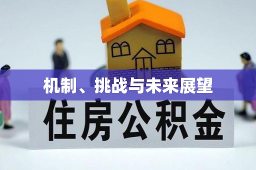 虎尾机制、挑战与未来展望