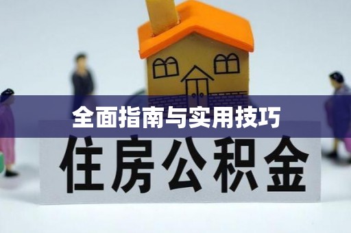 虎尾全面指南与实用技巧